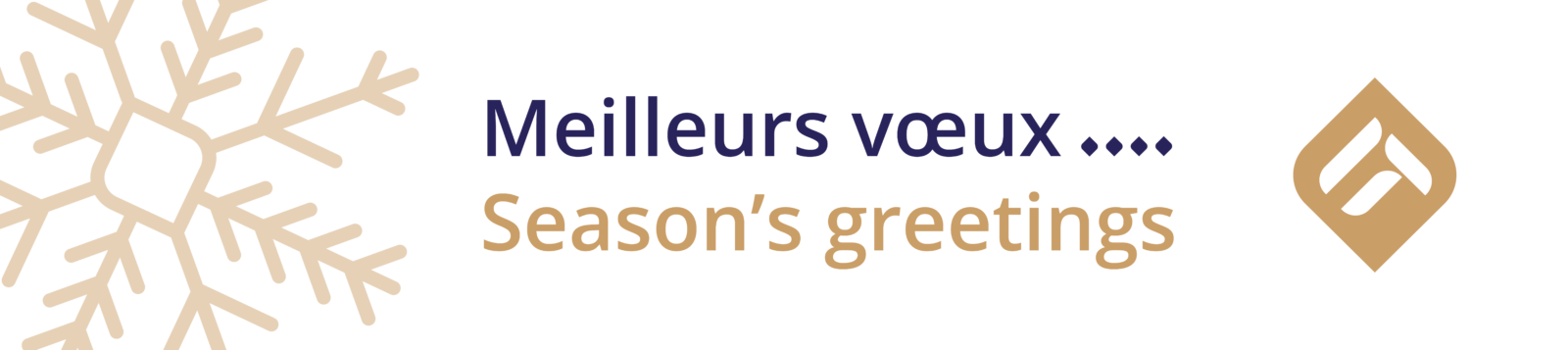 Meilleurs vœux pour cette année - ITinSell